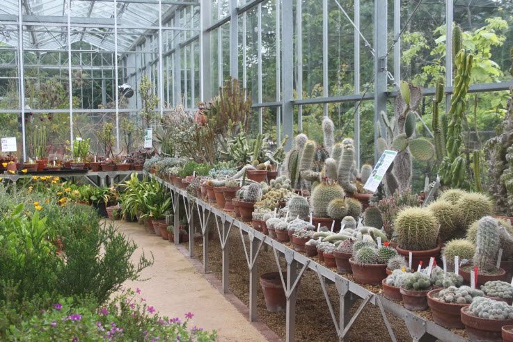 University of Bristol Botanic Garden, United Kingdom